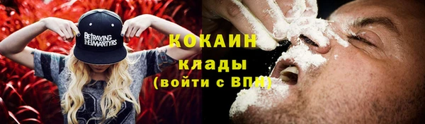 стафф Богданович