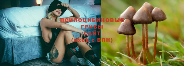 стафф Богданович