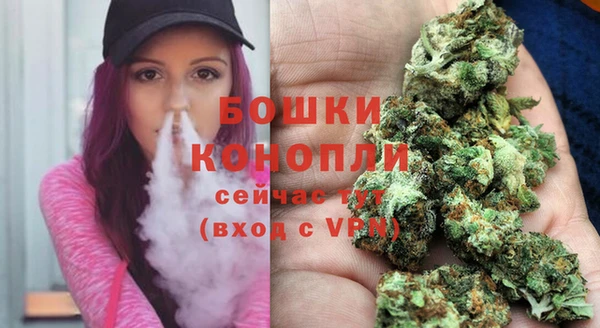 стафф Богданович