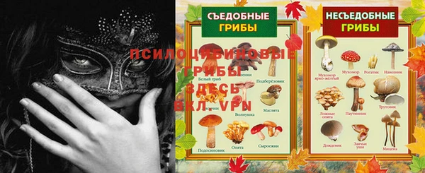 стаф Белокуриха