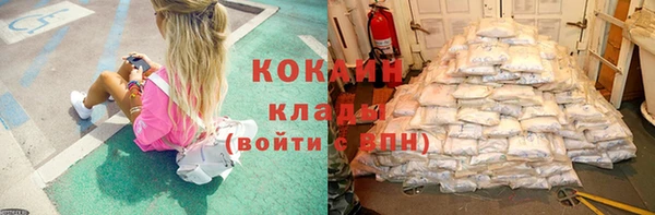 стафф Богданович