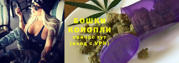 стаф Белокуриха
