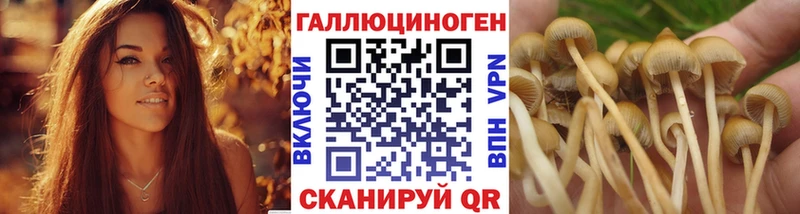 Псилоцибиновые грибы Magic Shrooms Купить Бронницы